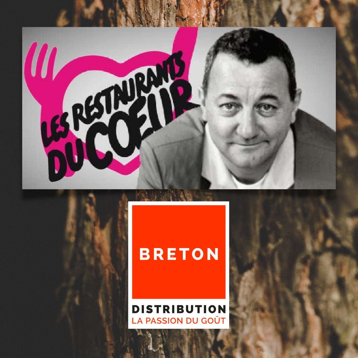 Logo des resto du cœur et du logo de breton distribution avec en fond un tronc d'arbre